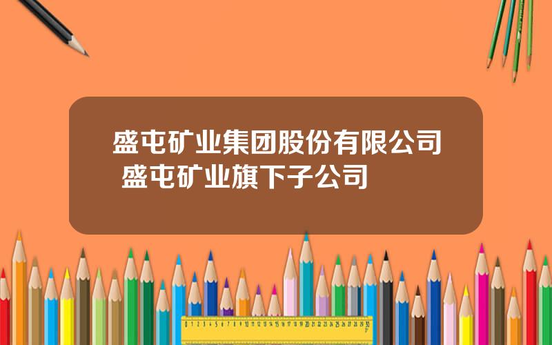 盛屯矿业集团股份有限公司 盛屯矿业旗下子公司